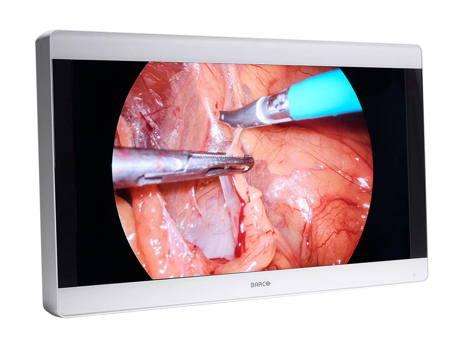 Barco MDSC-8232 32" 8MP LED 4K Color Surgical Medical Display Monitor (K9307922) Monitors.com 